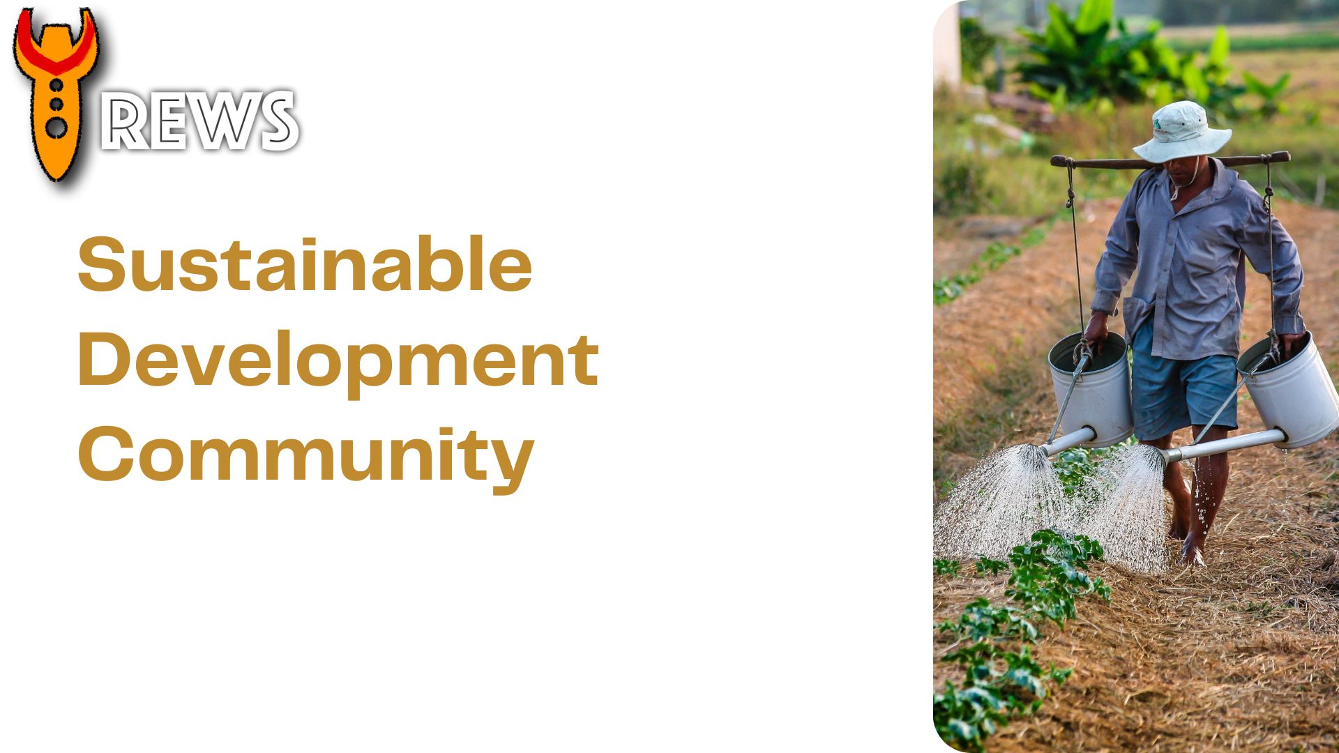 Sustainable Development Community